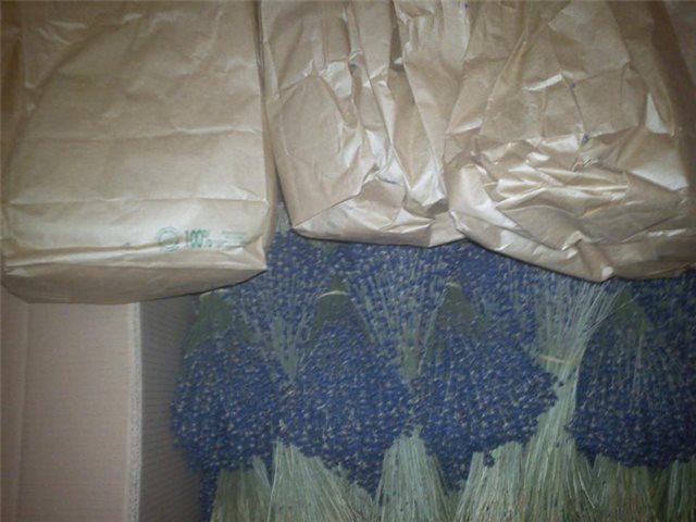 Hot hot hot Sale up 40% hoa oải hương true lavender khô - nhập khẩu Pháp - 6